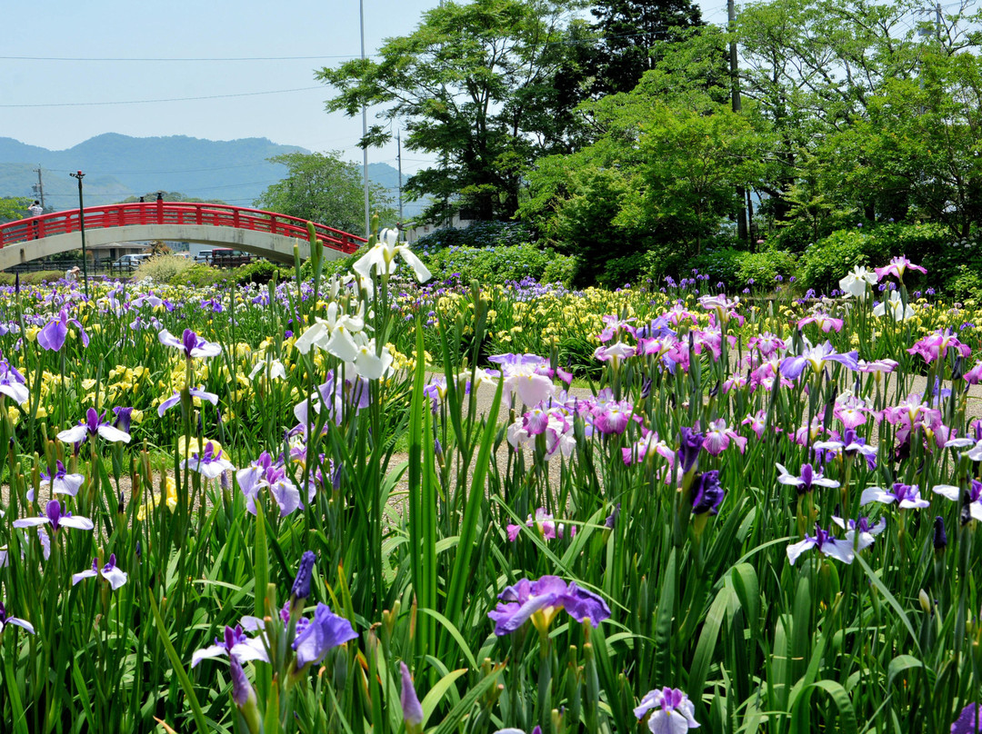 Kamo Shobuen-丰桥市必去景点