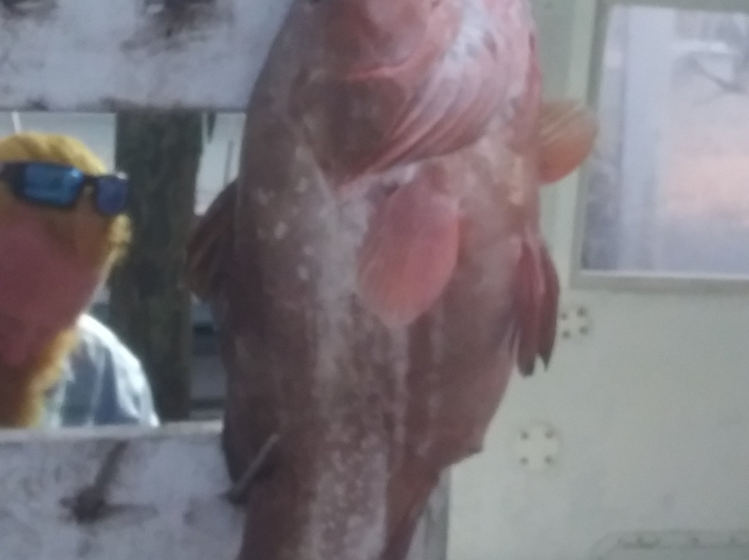 Man Overboard Charters-Cape Haze必去景点