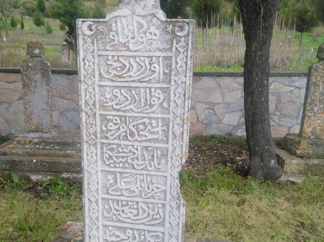 Yalova Koyu Zabitan Sehitligi-Eceabat必去景点