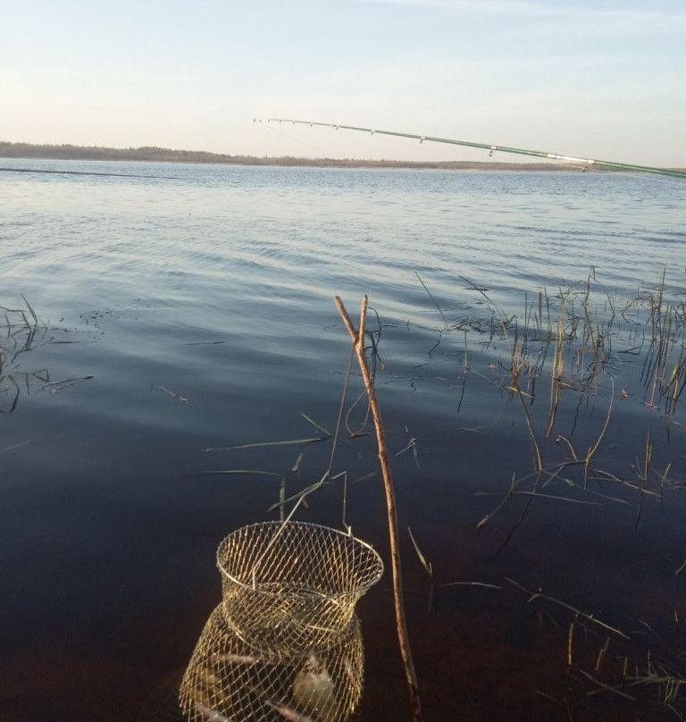 Berezina Biosphere Reserve-Domzharytsy必去景点