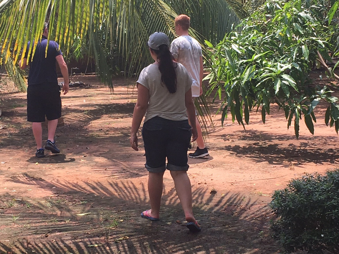 Heina Nature Resort - Yala主图