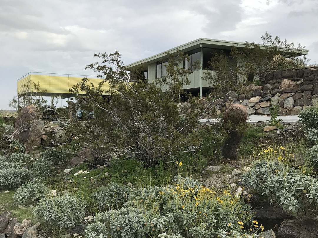 Palm Springs Mod Squad-棕榈泉市必去景点