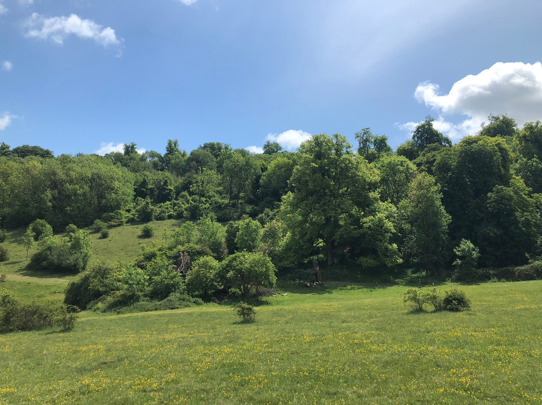 Tring Park景点图片