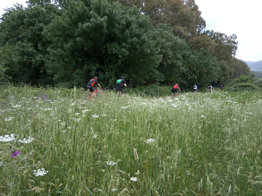Turismo de Los Barrios-Los Barrios必去景点