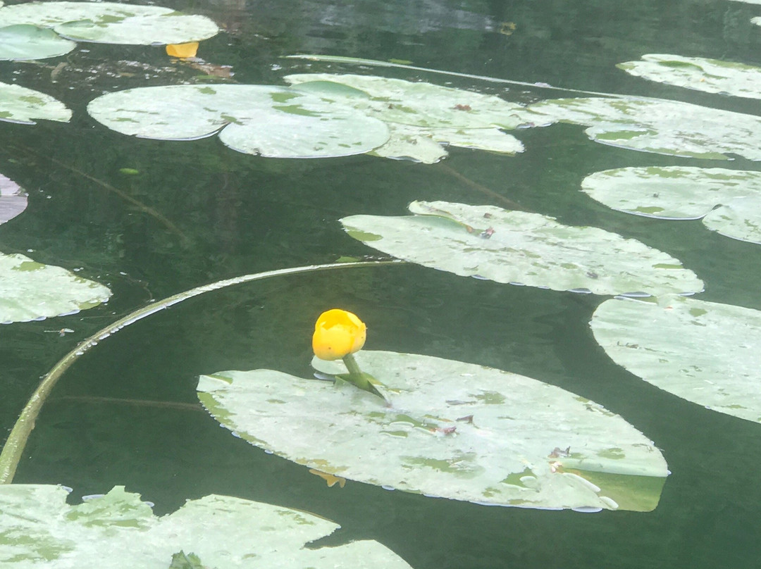 Tourist Agency Outdoor & More-维尔巴札拉必去景点