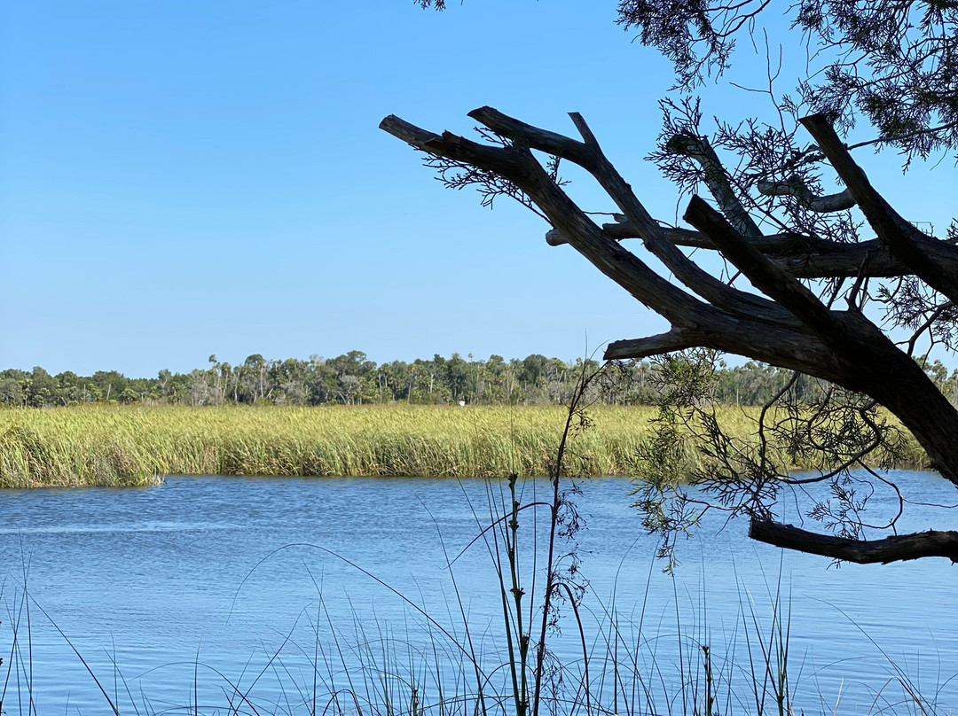 Crystal River Preserve State Park-克里斯特尔里弗必去景点