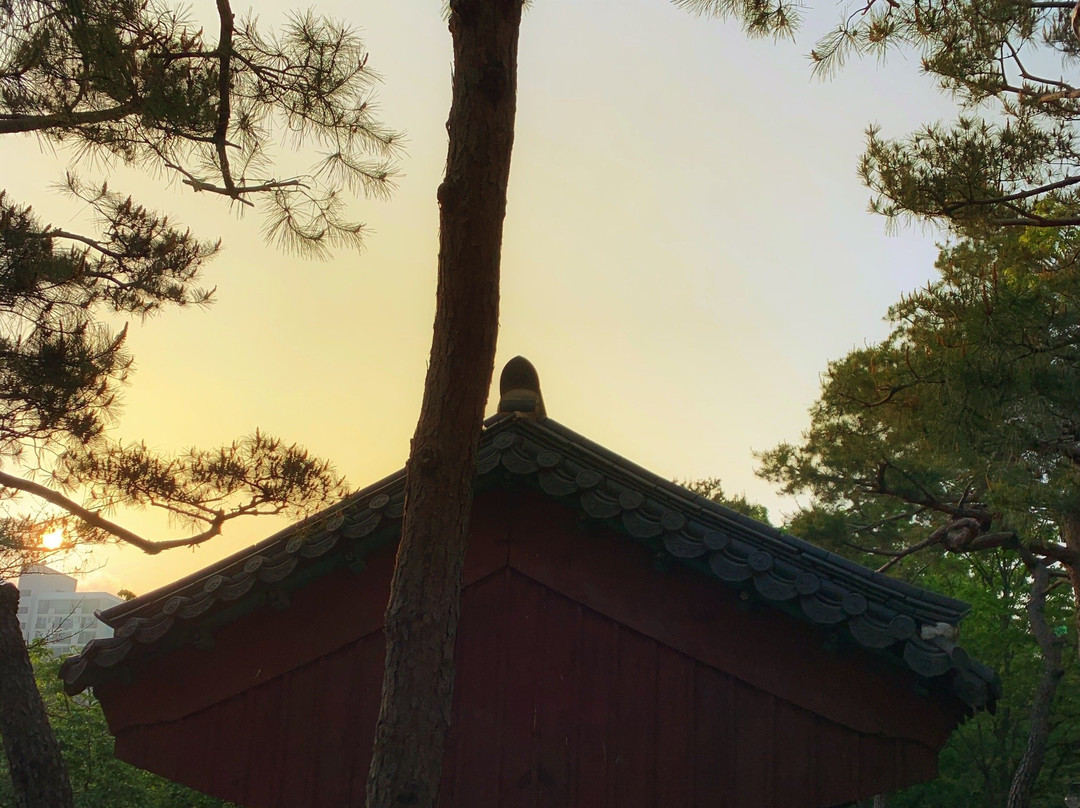 Seongnam Jungang Park-城南市必去景点