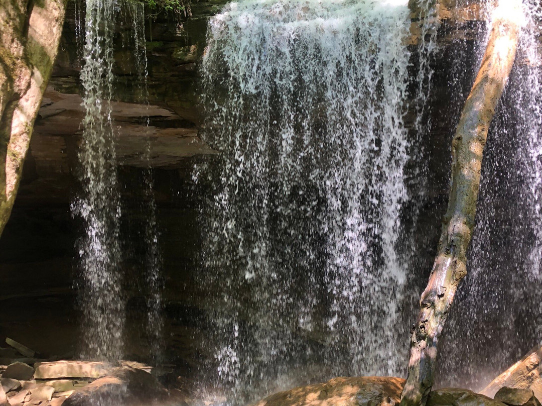 Virgin Falls State Natural Area景点图片