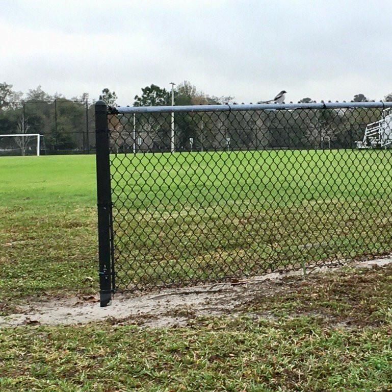 Simmers Young Park-温特黑文必去景点