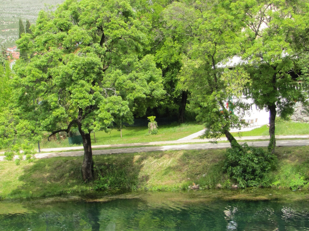 Trebisnjica River景点图片