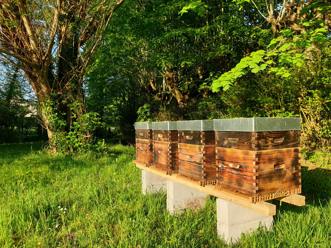 Domaine Les Bruyeres主图