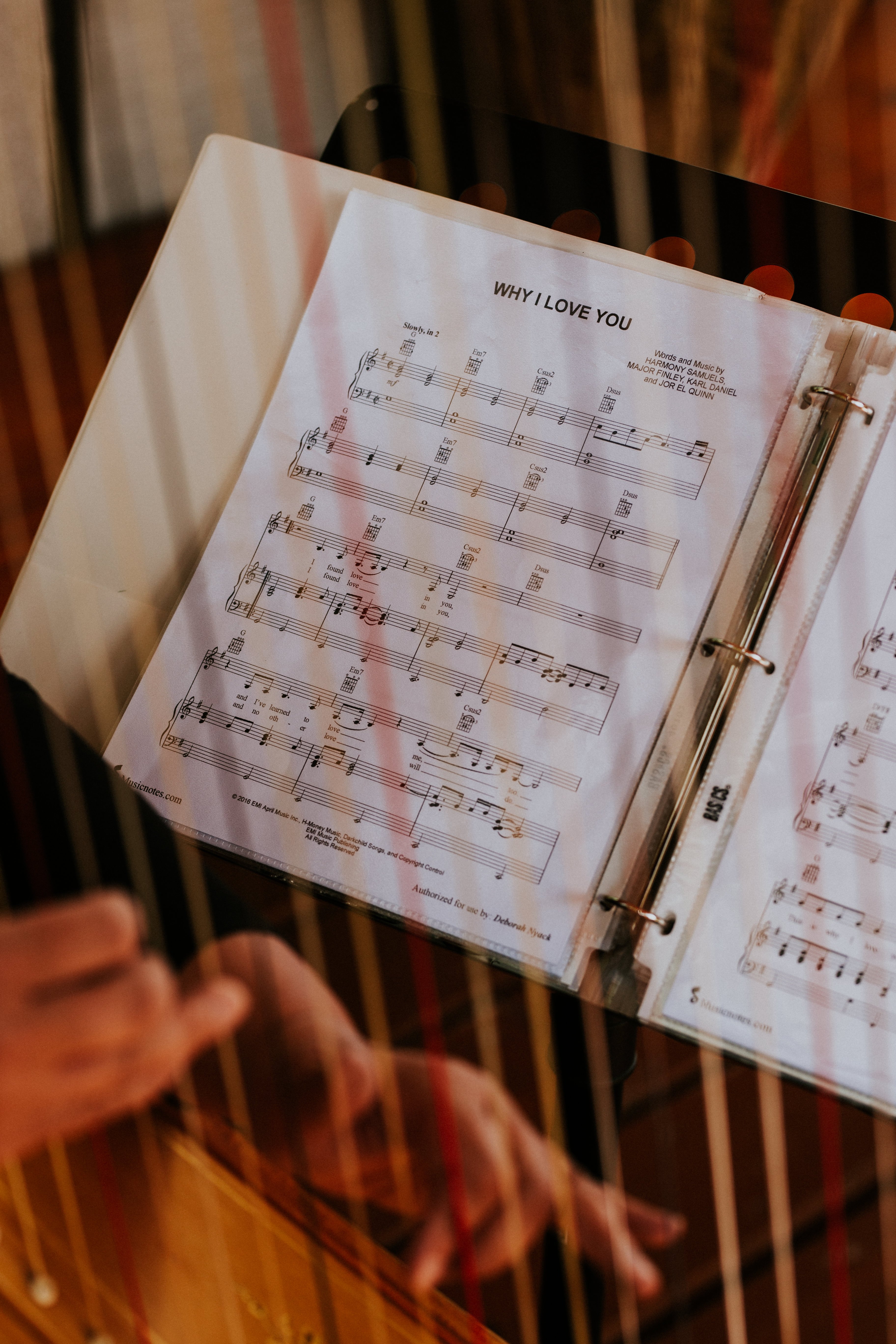 熊及野牛乡村酒店-portrait