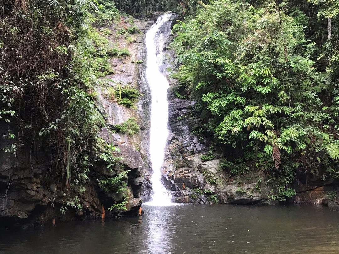 Papawyan Falls景点图片