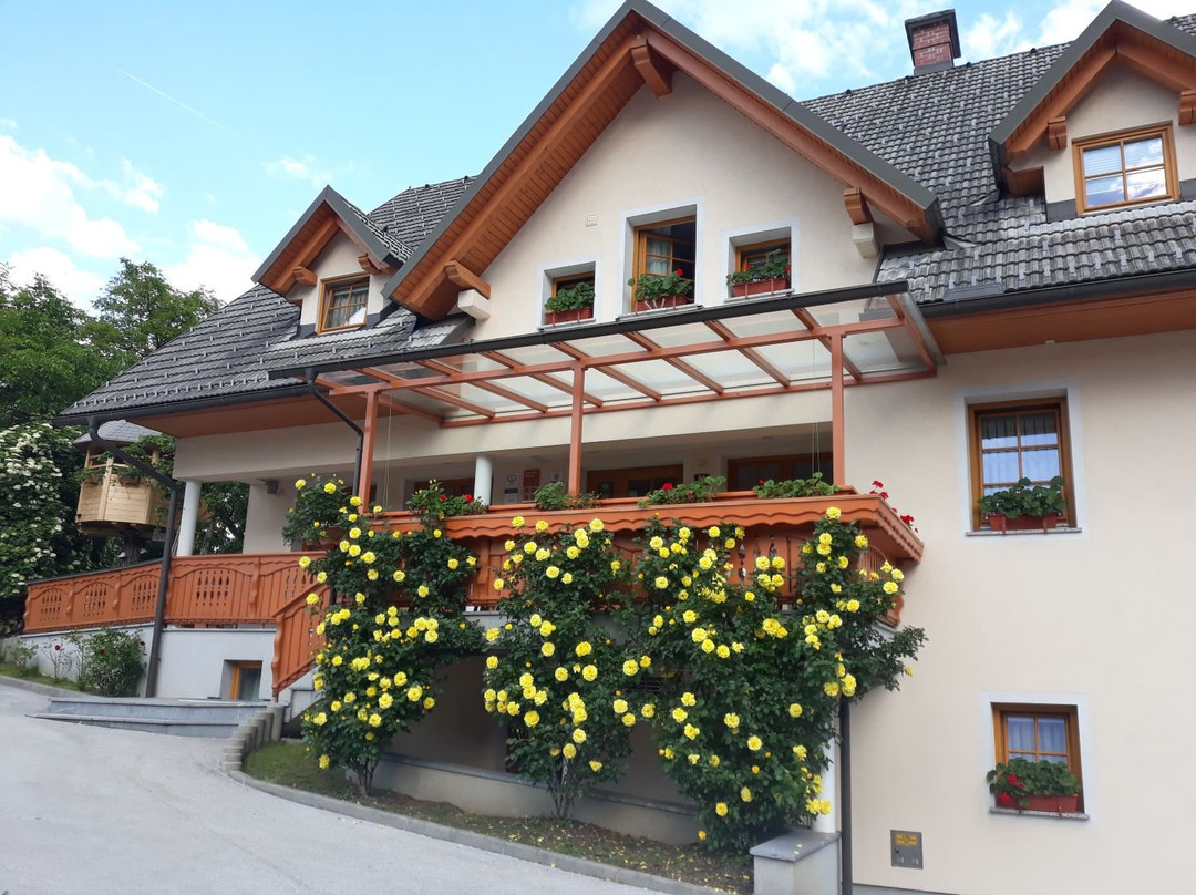 Turizem Loka - Hotel Loka & Hotel Vila Loka & Wellness Loka主图