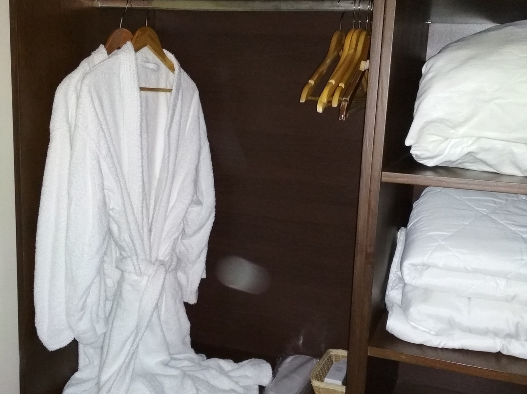 Casa Del Sole Boutique Hotel Timișoara主图