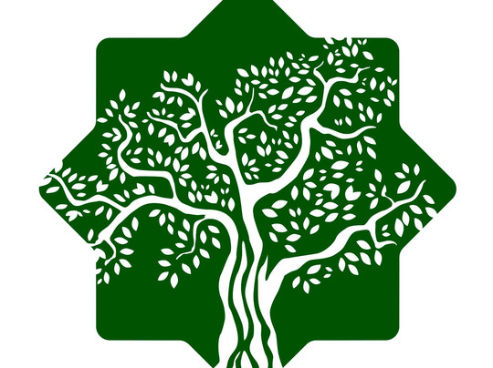 Discovering Andalucia Tours and Excursions-塞维利亚必去景点