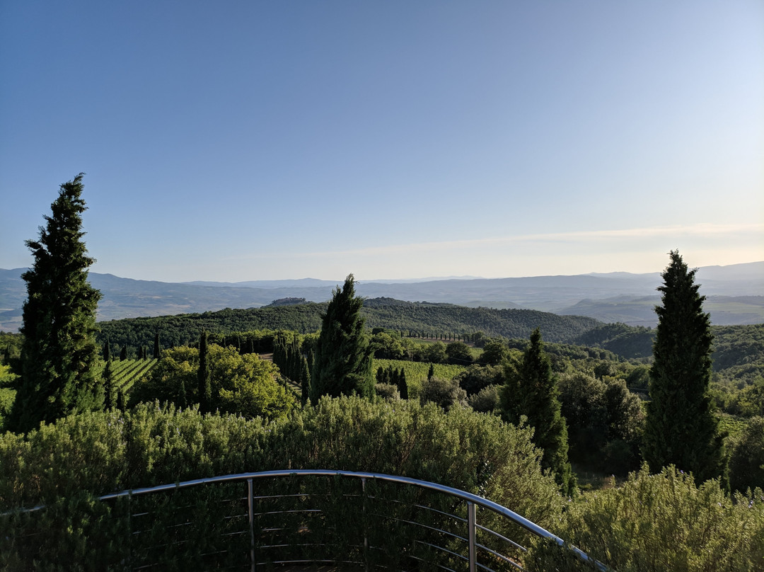 Poggio Antico Vineyards-蒙塔尔奇诺必去景点