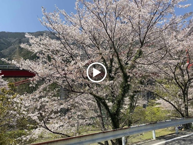 Owatari Dam Bridge-仁淀川町必去景点
