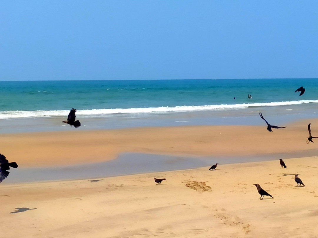 Shri Murdeshwara Beach-Murdeshwar必去景点