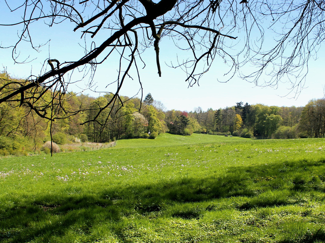 Deister Süntel MTB Verleih-Hulsede必去景点