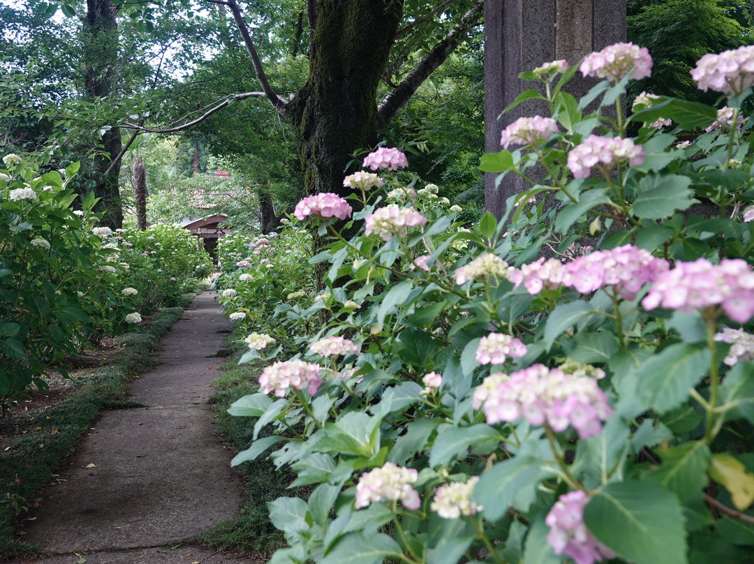 Chonen-ji Temple-饭能市必去景点