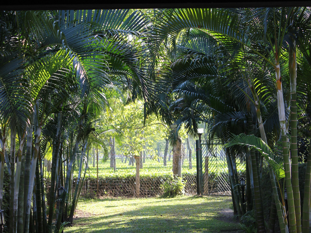 Mancotta Heritage Chang Bungalow主图