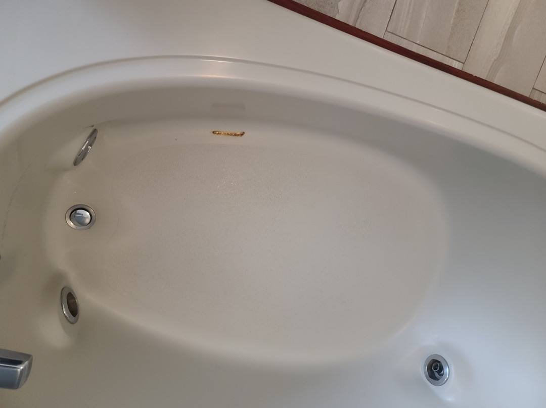 罗切斯特希尔斯戴斯套房酒店主图