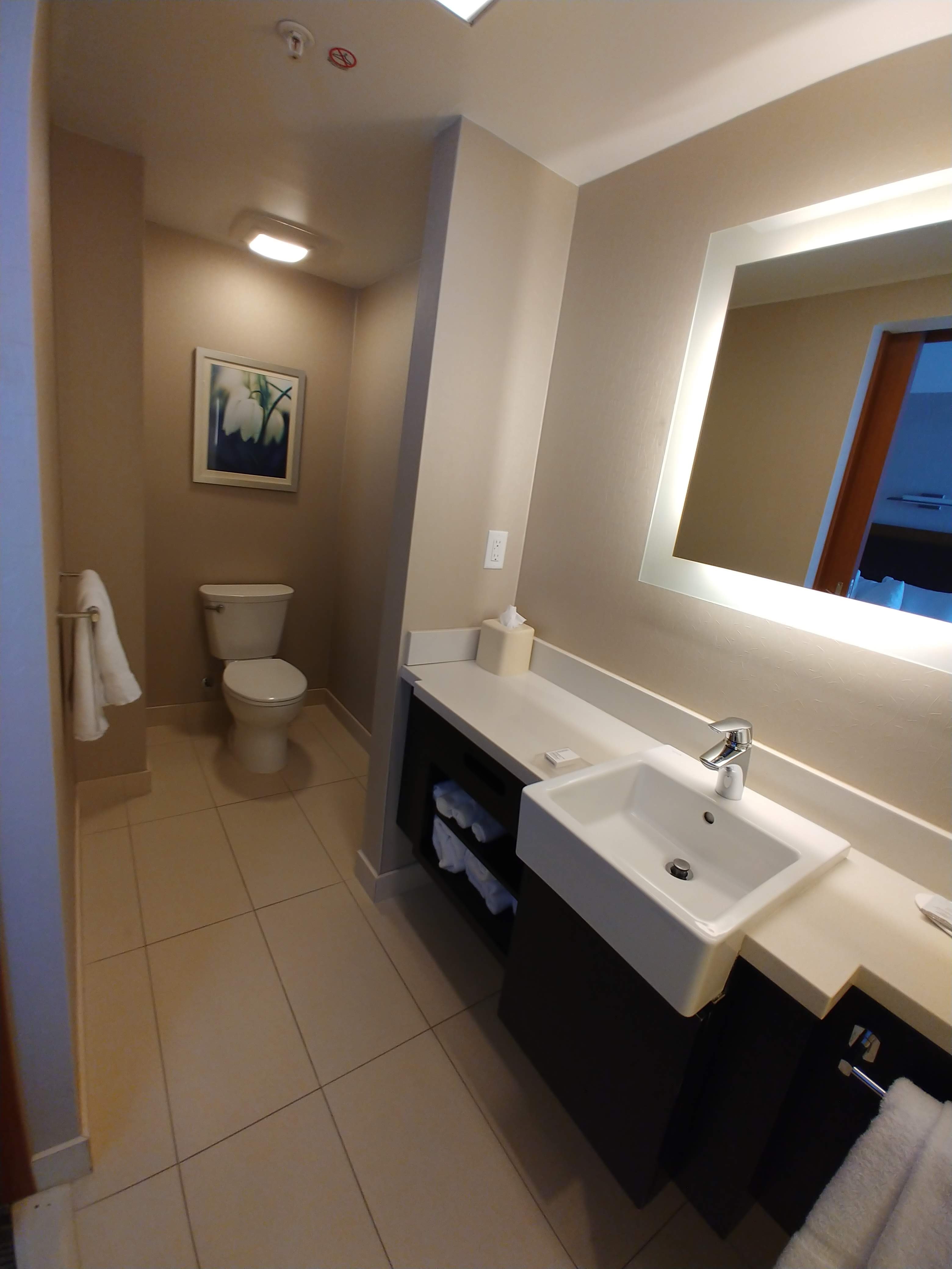 Springhill Suites Carle Place Garden City-浴室