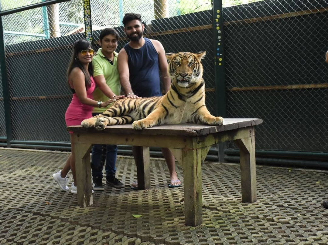 Helotism Holidays-Greater Noida必去景点