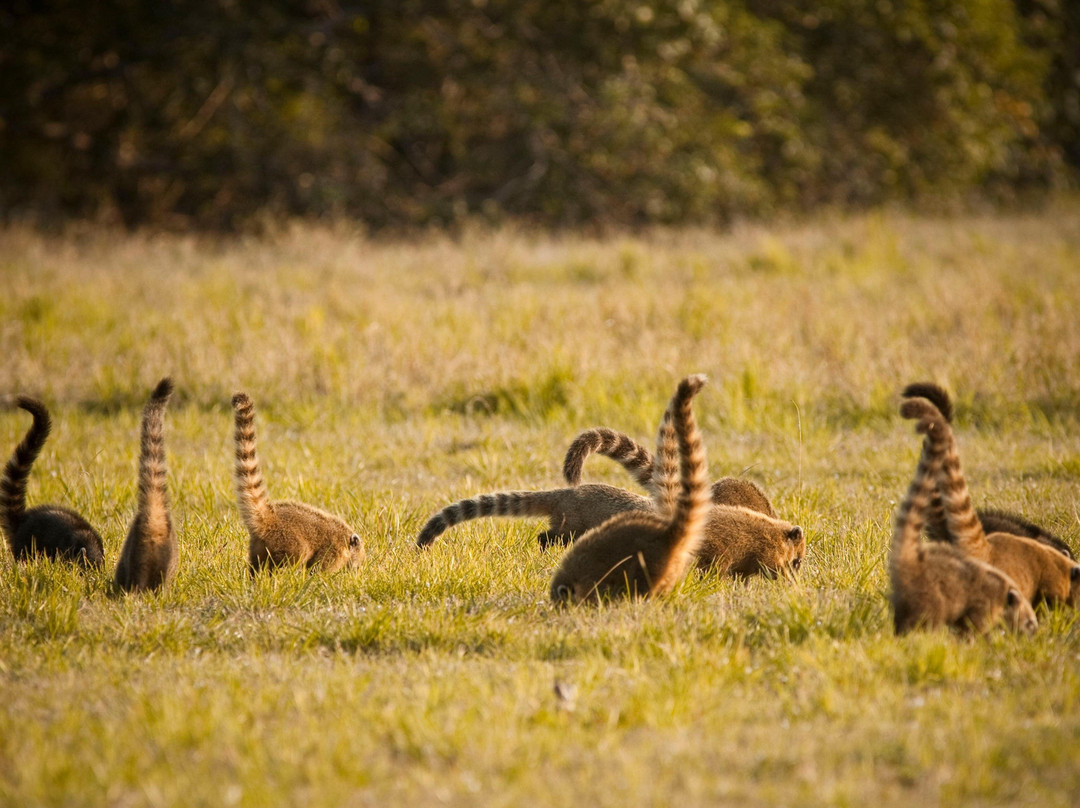 Boutique Travel Experts-大坎普市必去景点