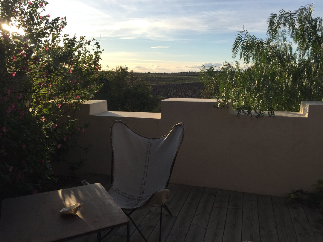 Domaine Tarbouriech主图