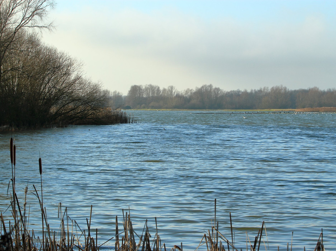 Summer Leys Nature Reserve景点图片