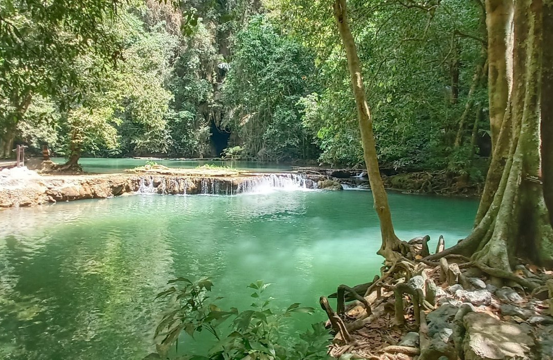 Than Bok Khorani National Park景点图片