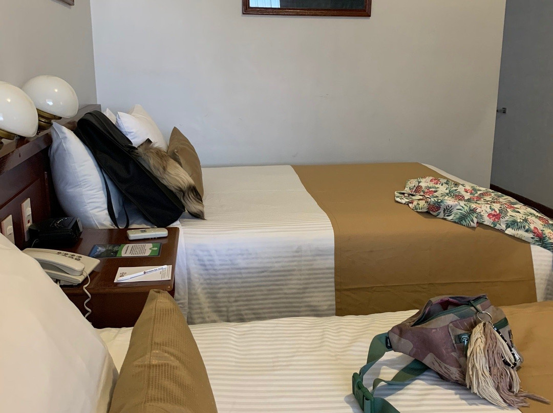 Gamma Durango Plaza Vizcaya主图