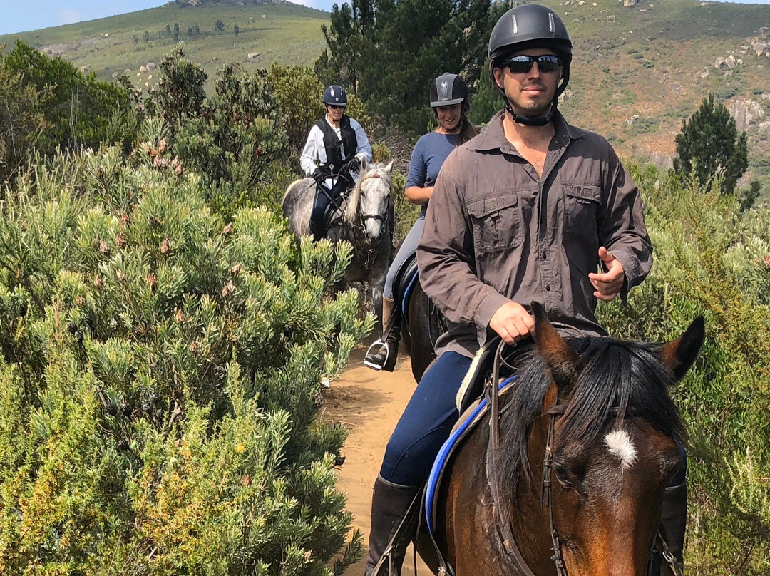 Wine Valley Adventures-法兰舒克必去景点