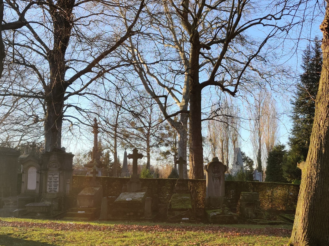 Cimetières de la Ville de Bruxelles景点图片