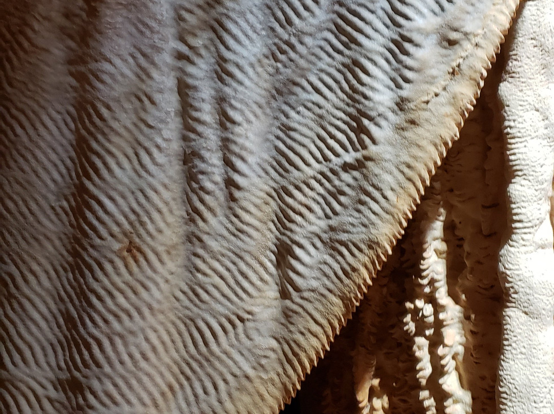 Cayman Crystal Caves-大开曼岛必去景点