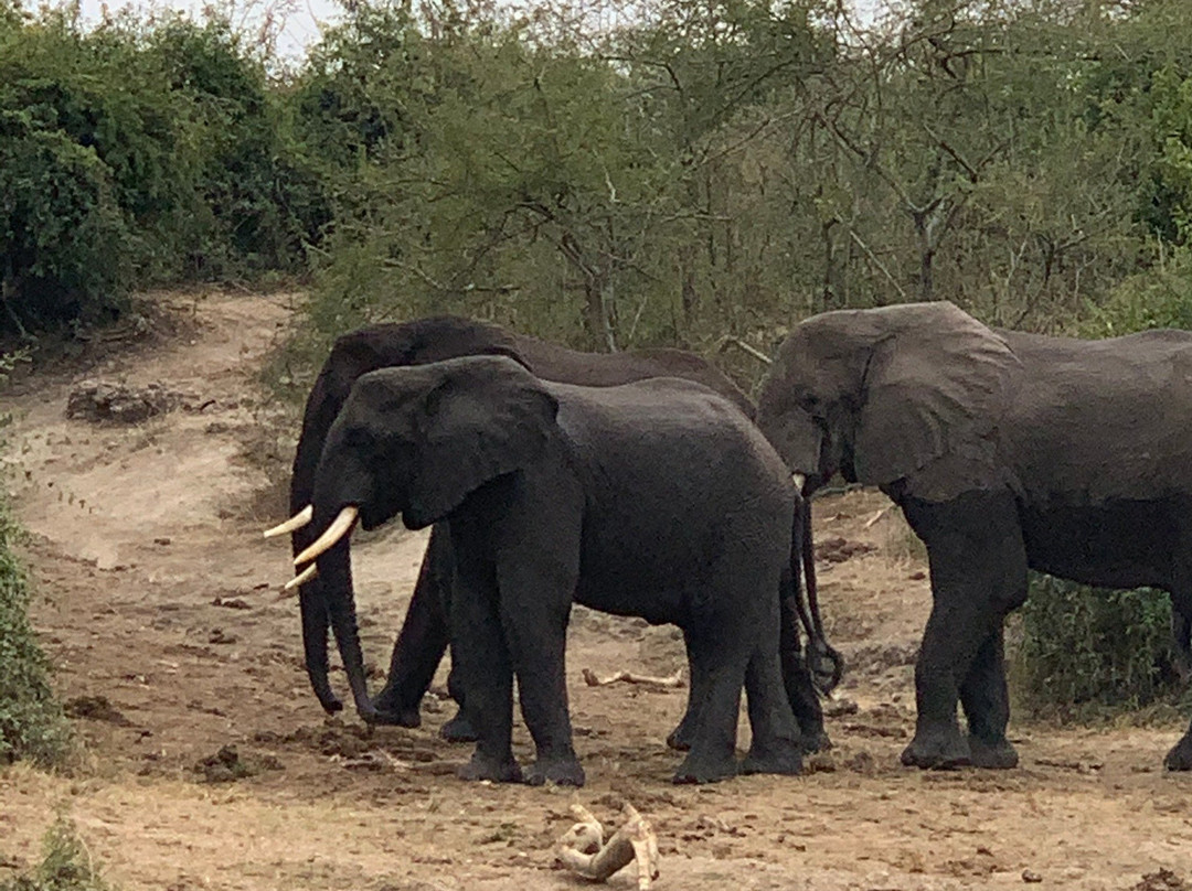 Albertine Valley Lodge主图