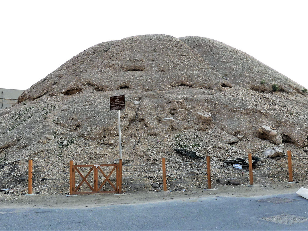 Dilmun Burial Mounds-麦纳麦必去景点