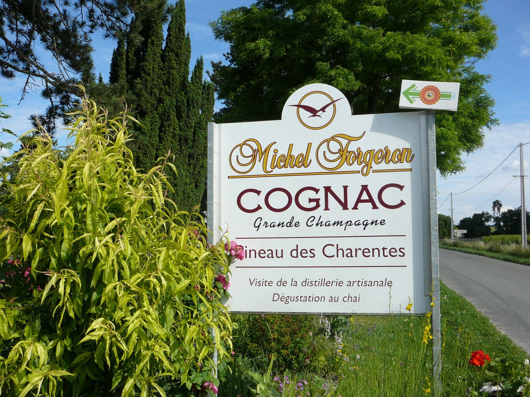 Cognac Michel Forgeron景点图片