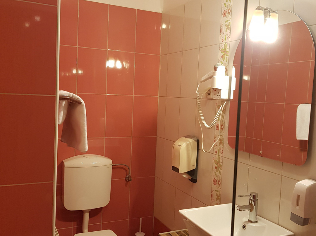 Vodisek Hotel主图