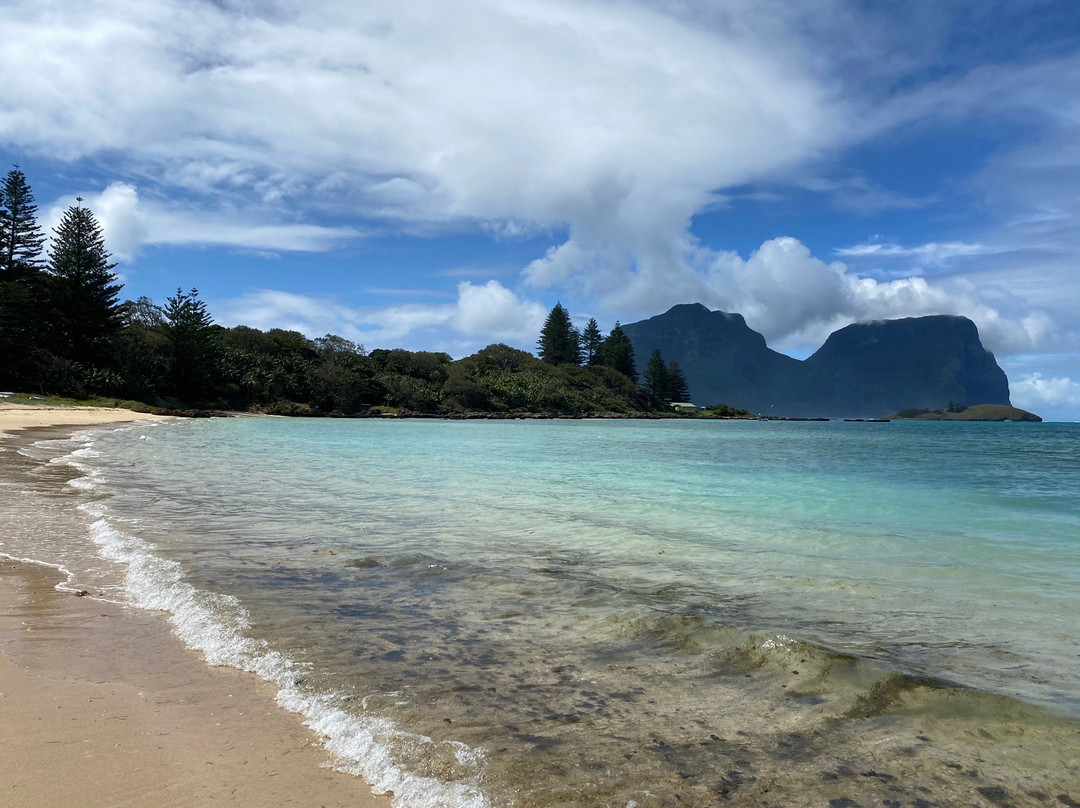 Old Settlement Beach-豪勋爵群岛必去景点