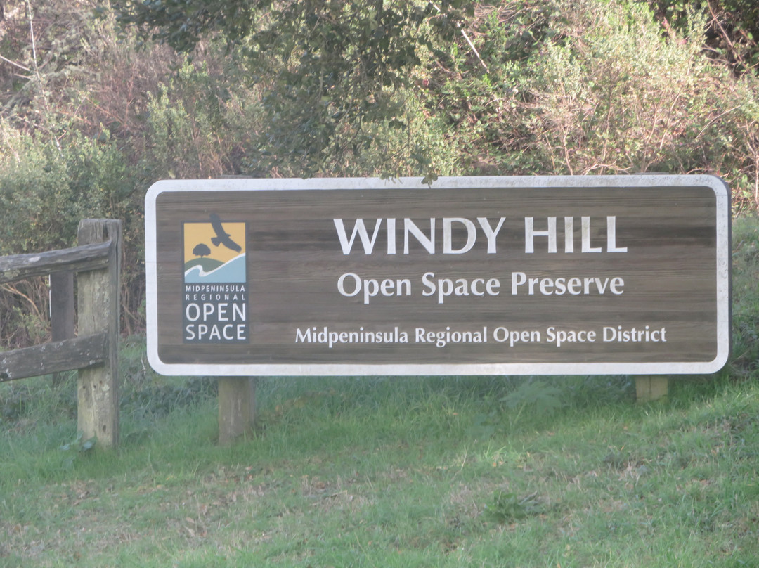 Windy Hill Open Space Preserve-洛思阿图斯必去景点