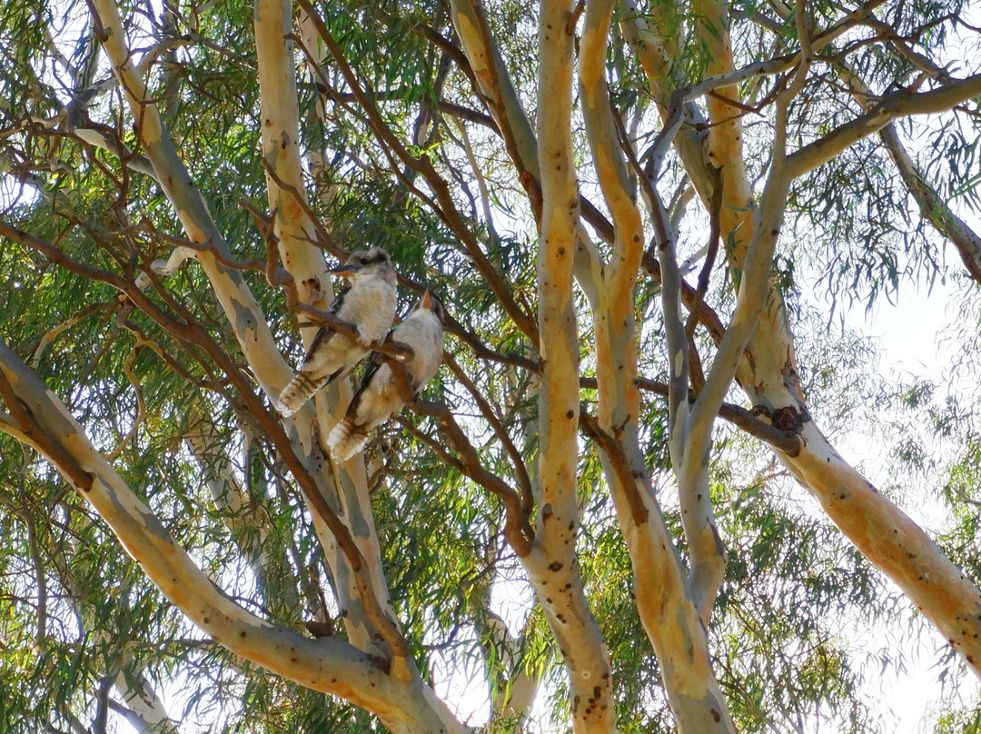 卡德尔对美利酒店主图