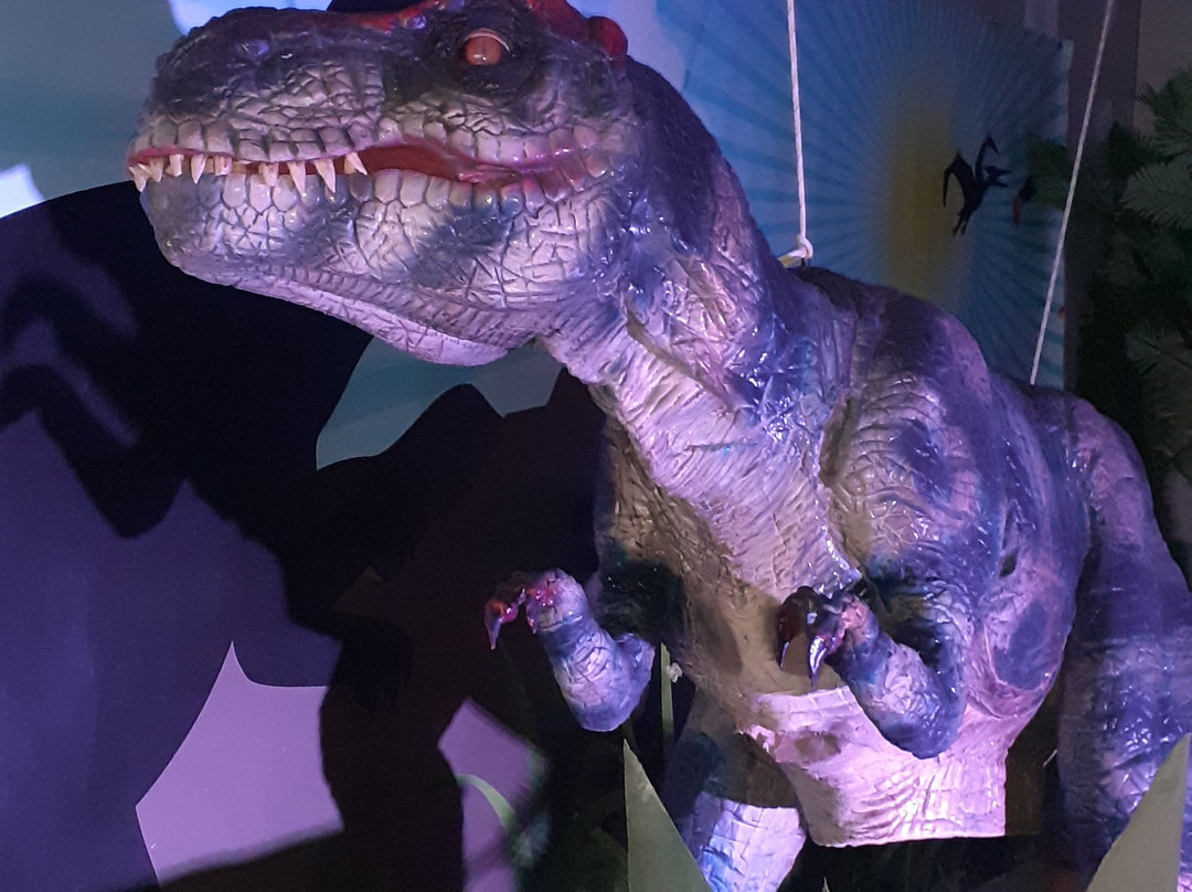 Dino Park Interactive Dinosaurs景点图片