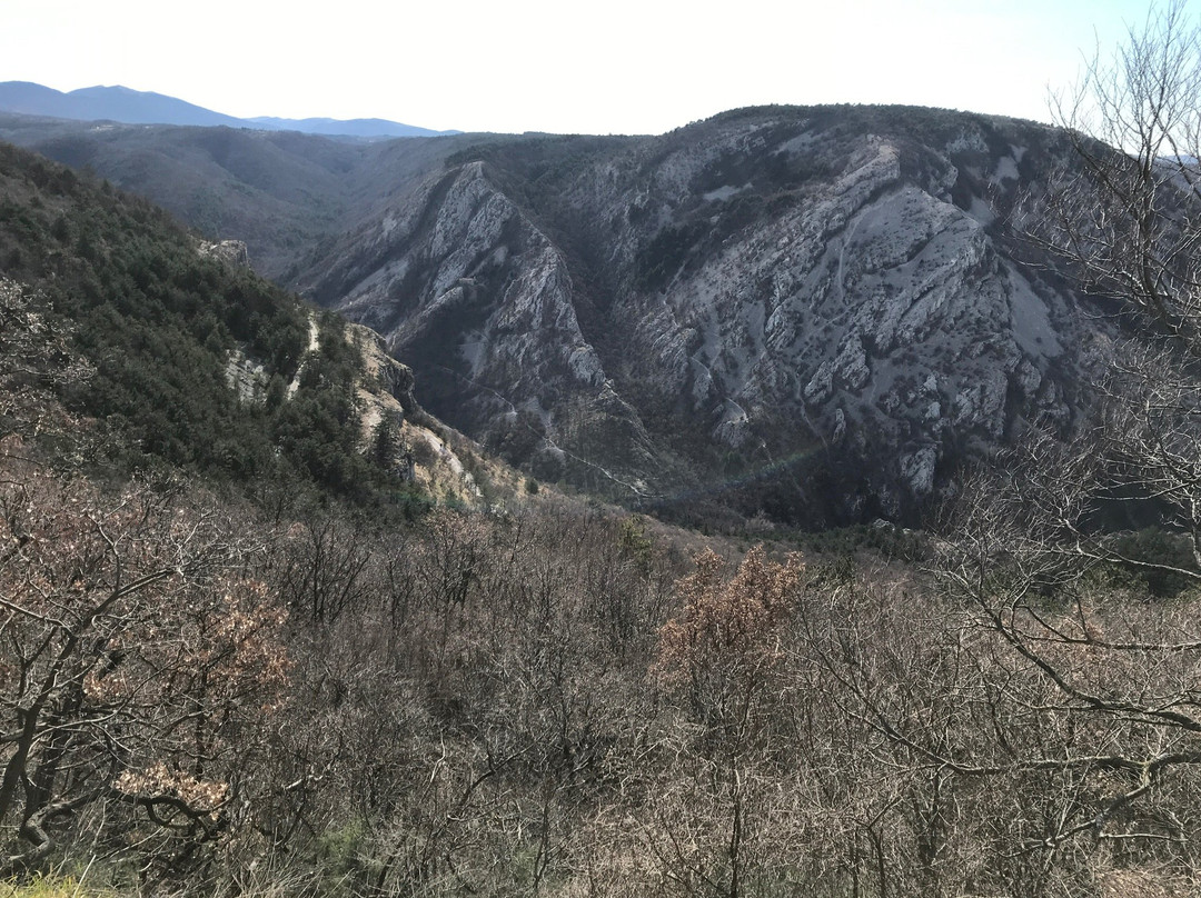 Riserva Naturale della Val Rosandra景点图片