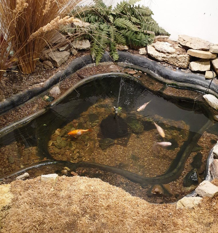 Naturkundemuseum-爱尔福特必去景点