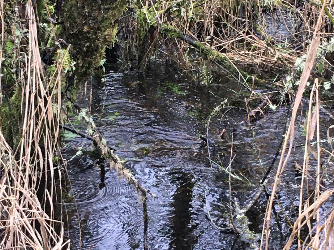 Boulevard Lane Park-肯特必去景点