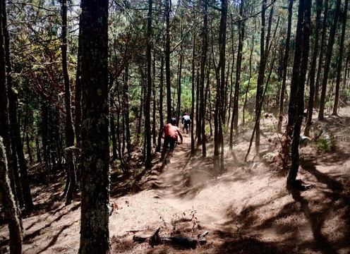 Oaxaca Bike Expeditions-瓦哈卡必去景点