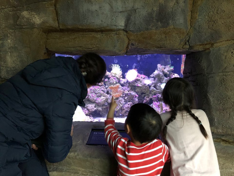National Institute of Ecology-舒川郡必去景点
